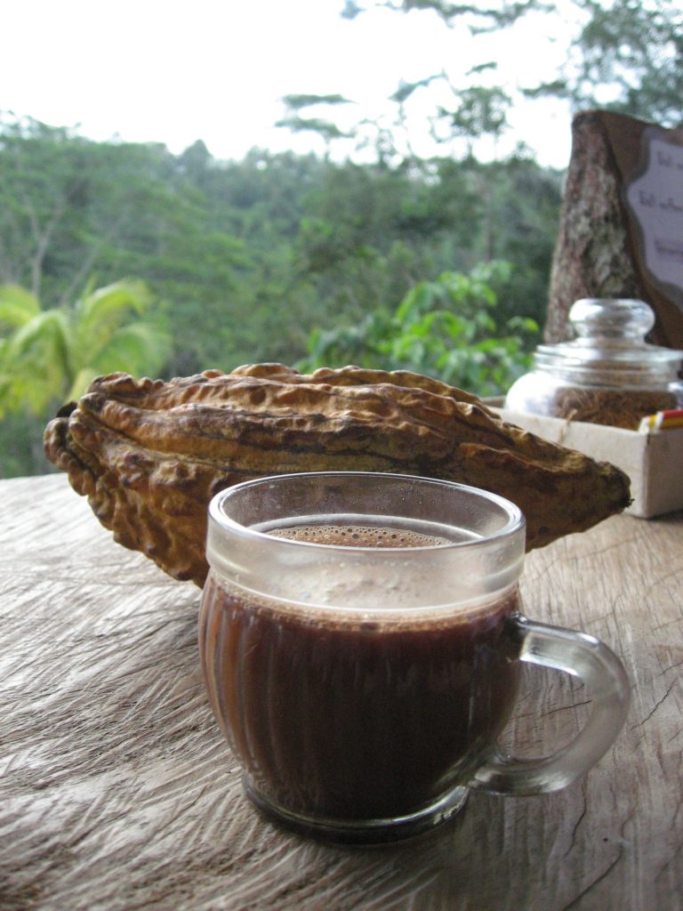 cacao