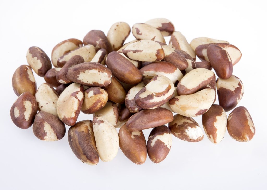 brazil nuts